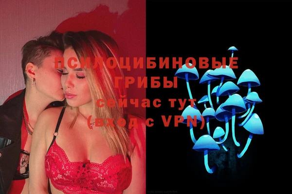 a pvp Аркадак