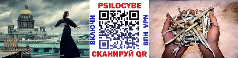 Псилоцибиновые грибы прущие грибы  Купить  Билибино 
